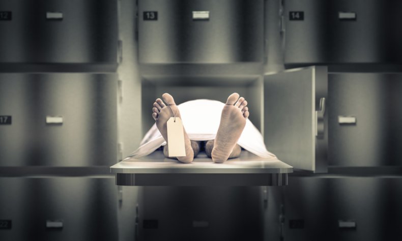 autopsy