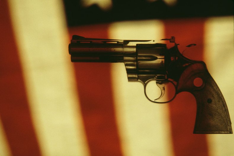 Gun