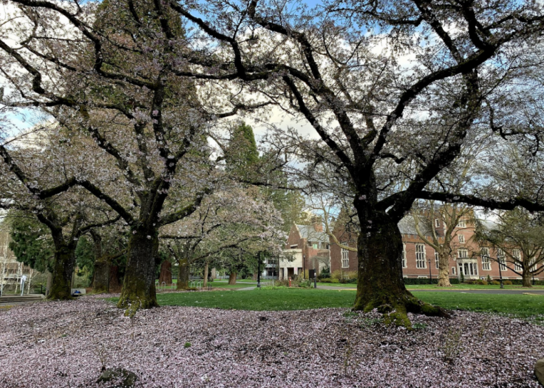 Oregon: Reed College