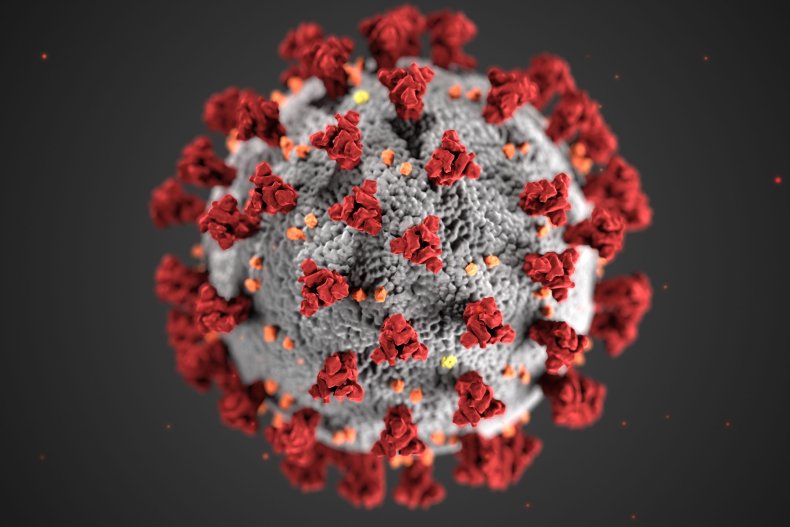 Cronavirus CDC
