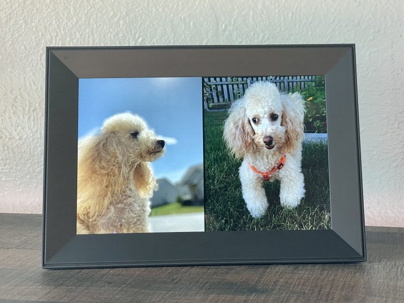 Aura Carver Review - Digital Picture Frame