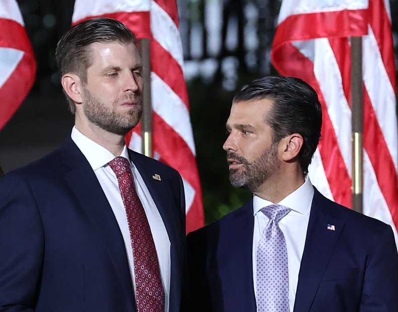 Donald Trump Jr Eric Trump 2020 Election
