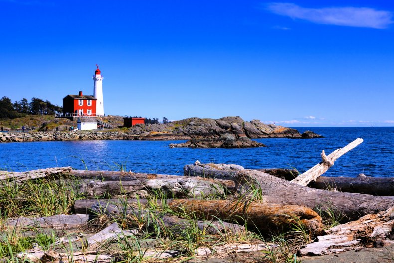 Canada, Emigration, 2020 Presidential Election
