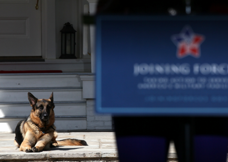 A history of presidential pets
