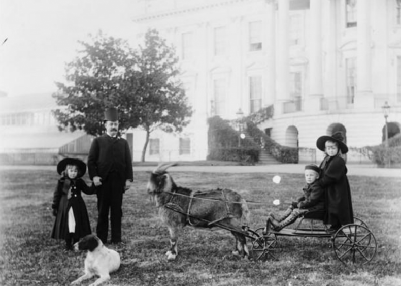 Benjamin Harrison Benjamin Harrison