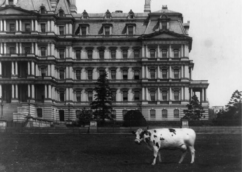 William Howard Taft William Howard Taft