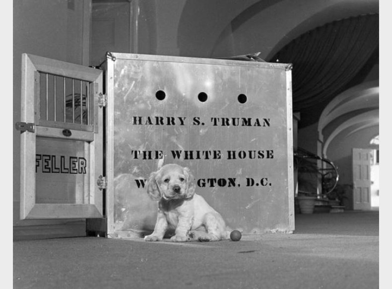 Harry S. Truman Harry S. Truman
