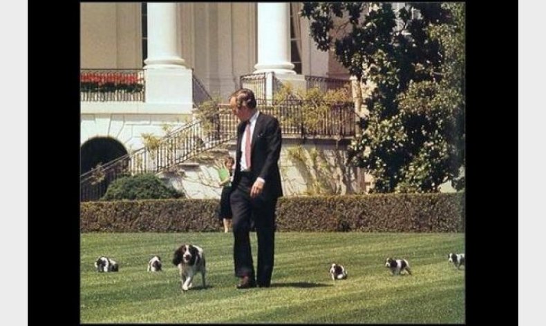 George Bush George Bush