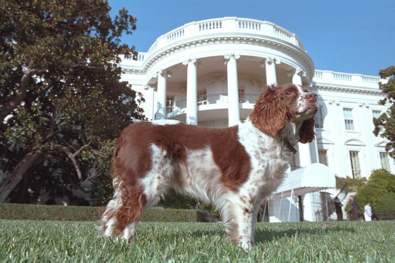 George W. Bush George W. Bush