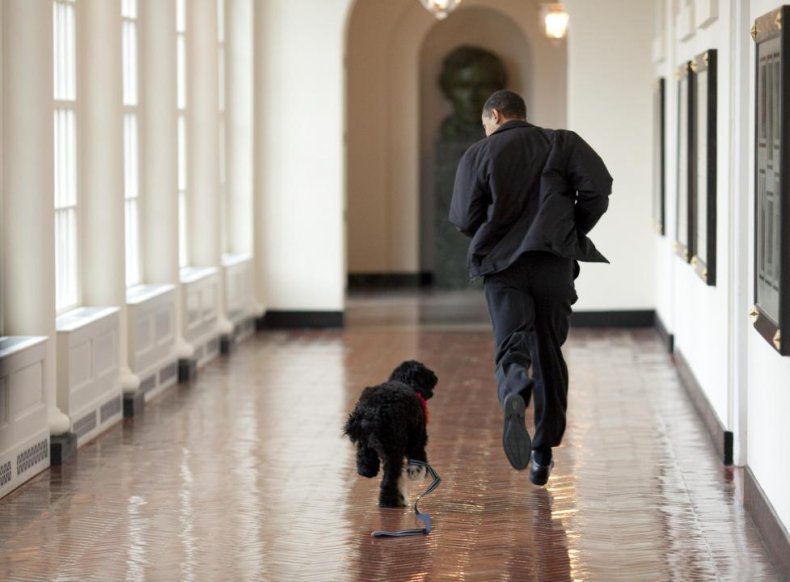 Barack Obama Barack Obama