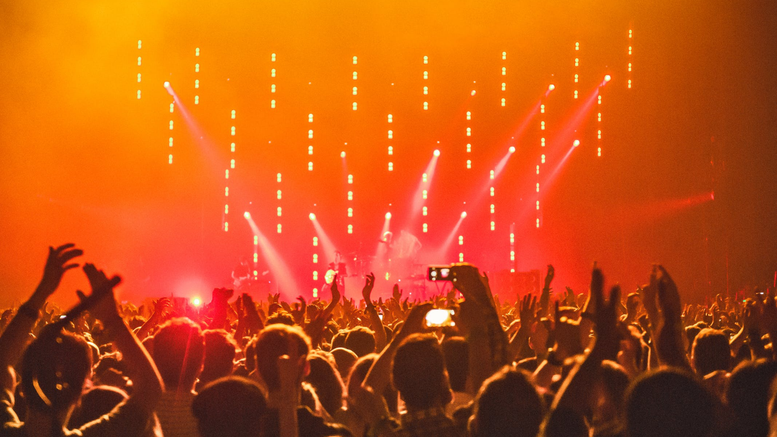 concert-fans