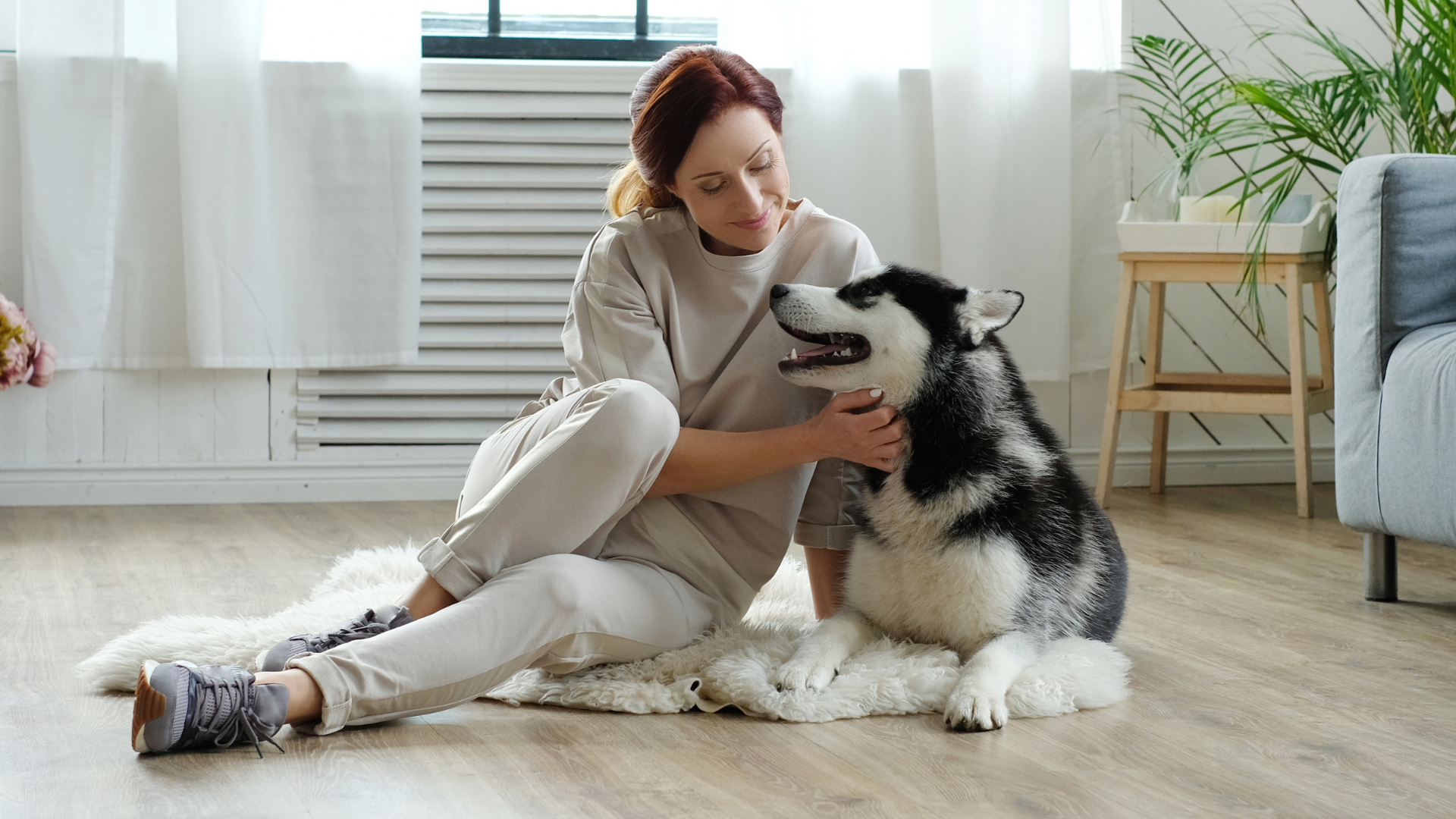 Eusoh The Best Alternative to Pet Insurance