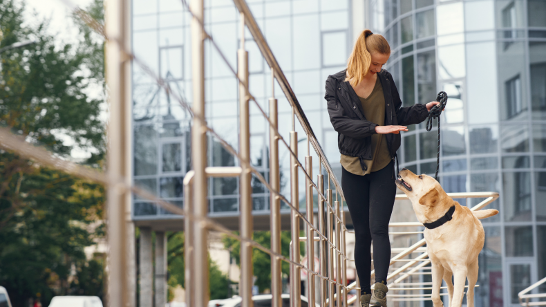 Eusoh The Best Alternative to Pet Insurance