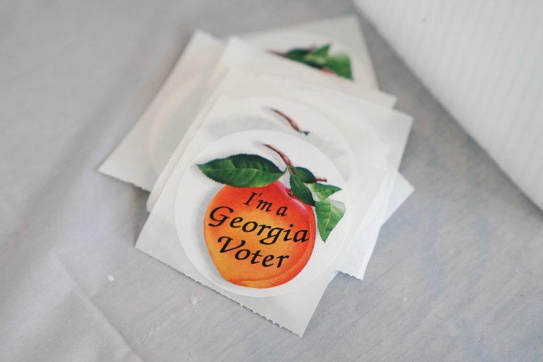 Georgia voter