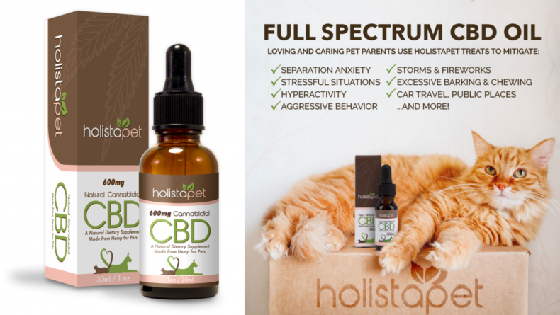 8 CBD Pet Products That Fight Joint Pain, Stress, Anxiety, and