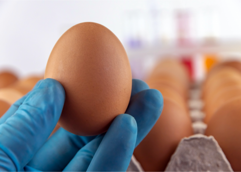 Allergy to eggs