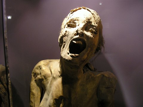 CUL_Map_Wacky_Museums_Museum of the Mummies