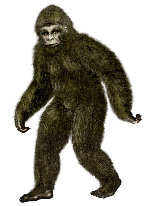 CUL_Map_Wacky_Museums_International Cryptozoology Museum 01