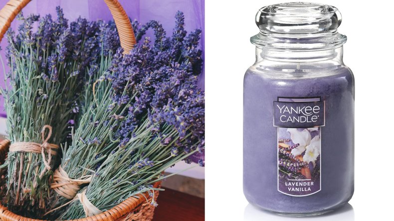 Yankee Candle Lavender Vanilla Scented Candles