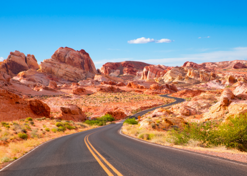 #38. Nevada