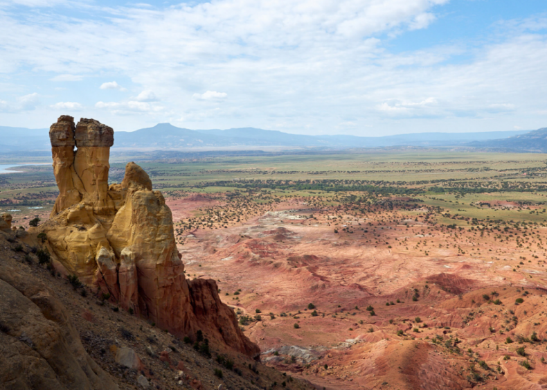#29. New Mexico