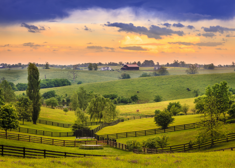 #27. Kentucky