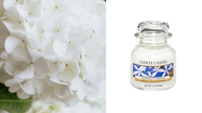 Yankee Candle Midnight Jasmine Scented Candle