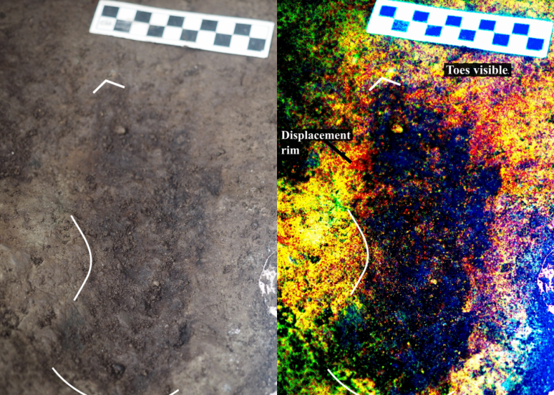 Oldest-known human footprints in North America