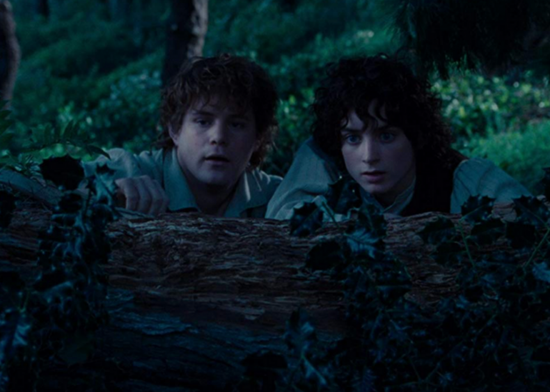 #51. The Lord of the Rings: The Fellowship of the Ring (2001) (tie)
