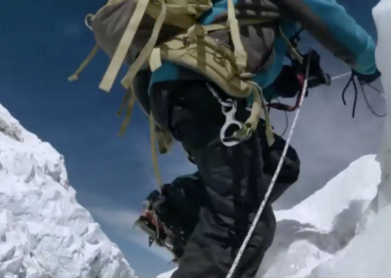 #45. Sherpa (2015)