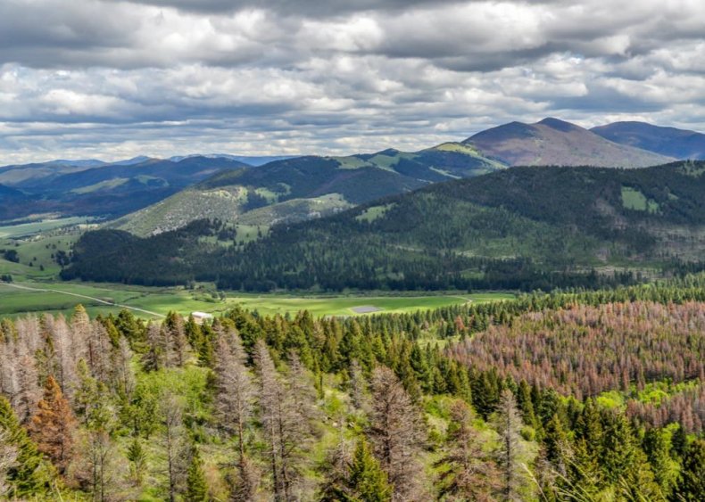 Montana: Montana City