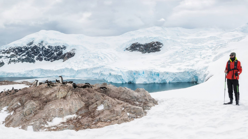 hurtigruten antarctica cruise