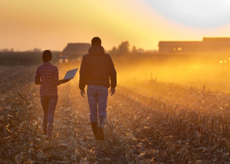 Small businesses account for 84% of employment in agriculture, forestry, fishing, and hunting