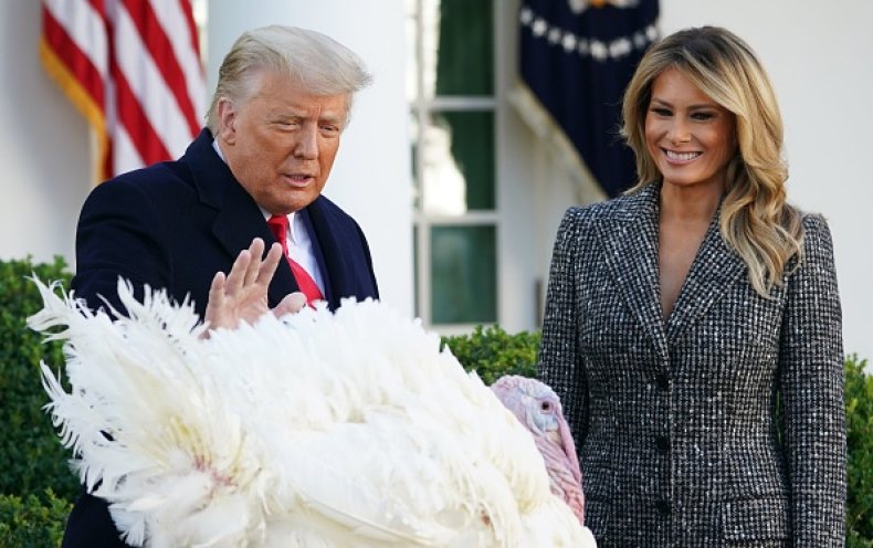 Trump Thanksgiving