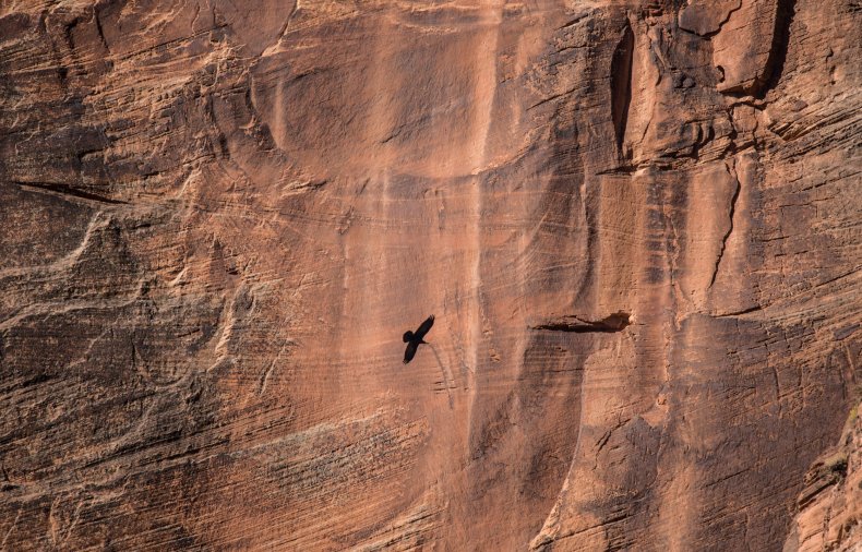 Utah