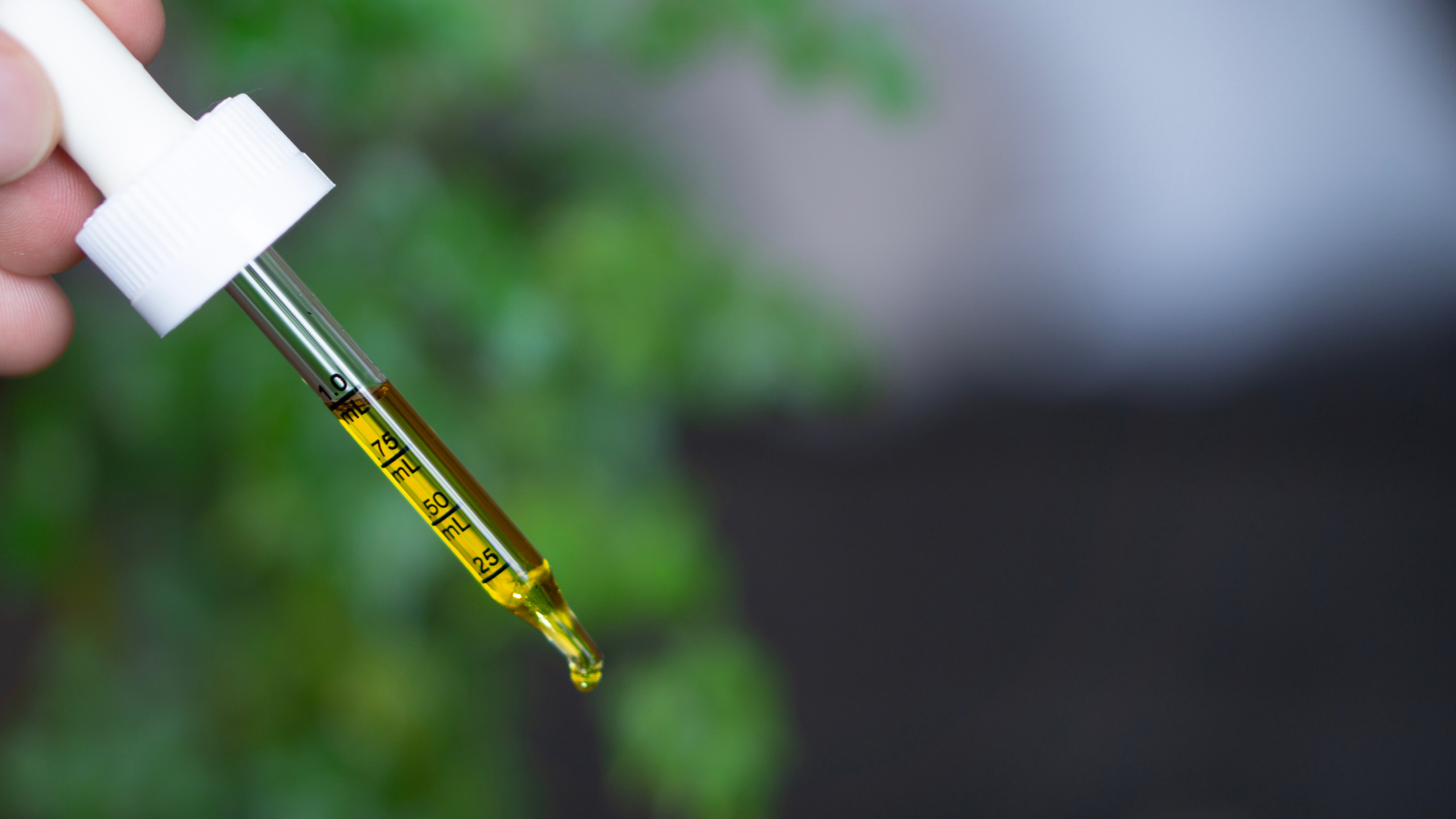 Is CBG the Next CBD? Doctors Weigh In on the ‘Mother’ of All Cannabinoids