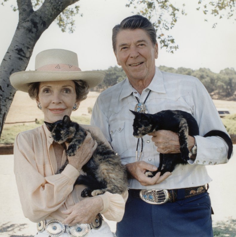 Reagan cats