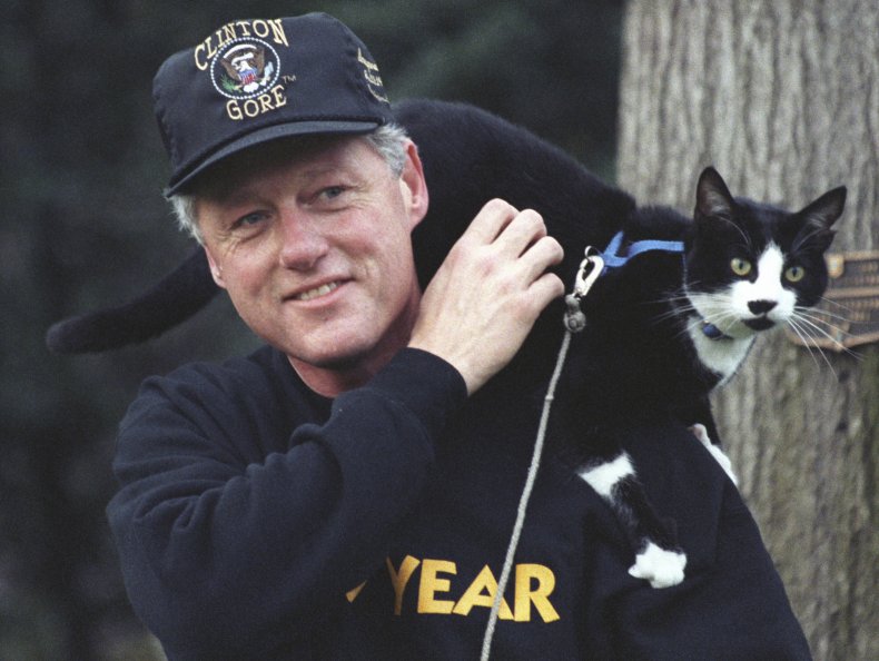Clinton and cat