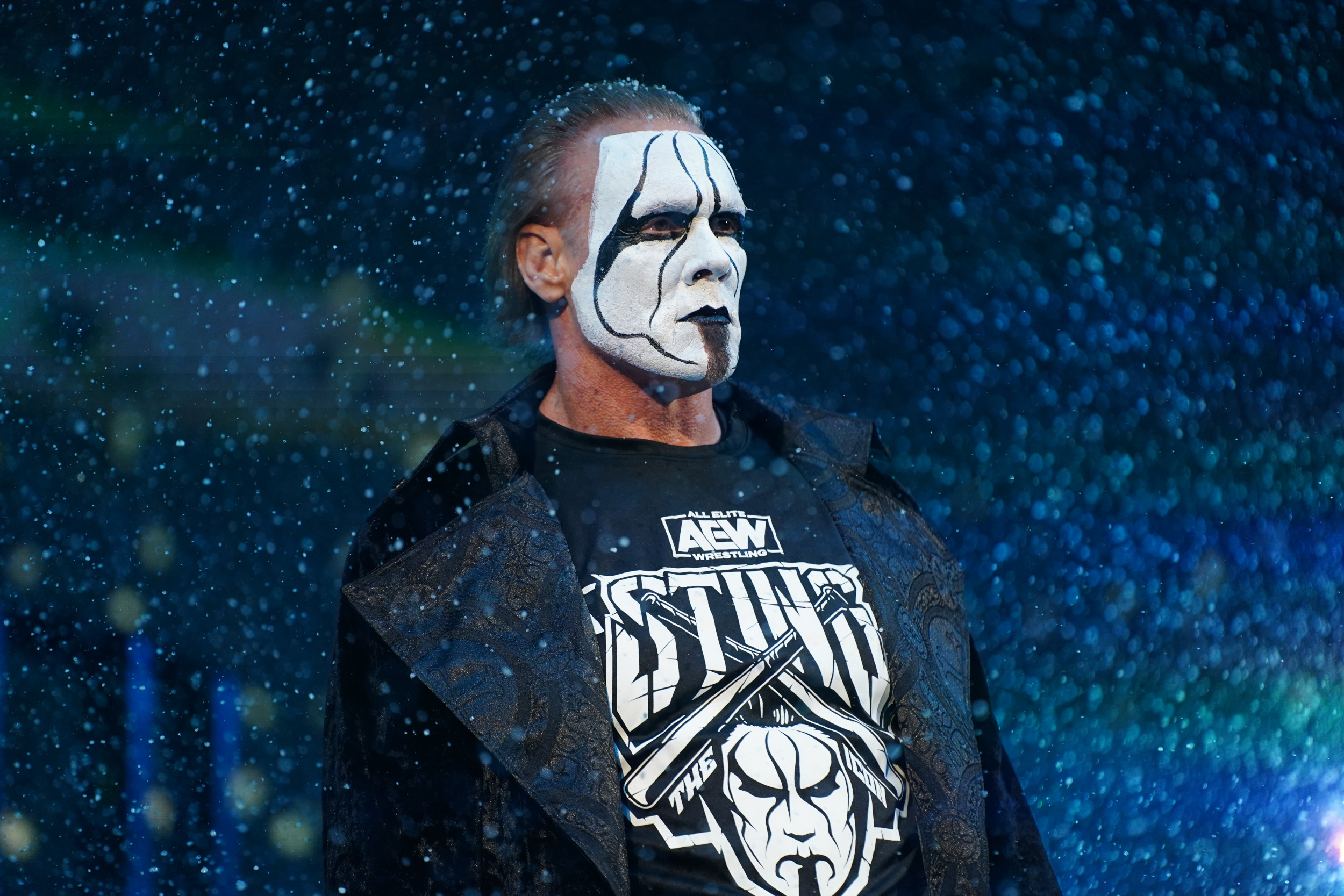 Sting's last match was in 2015 for WWE. 