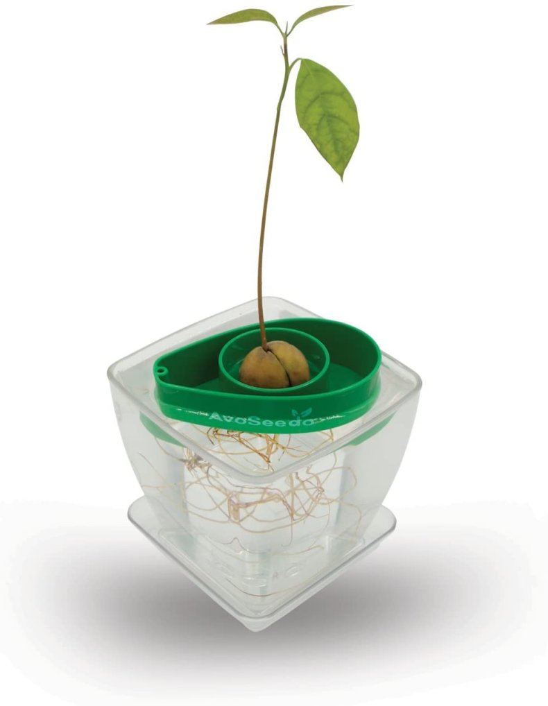 perfect white elephant gift desk avocado vase