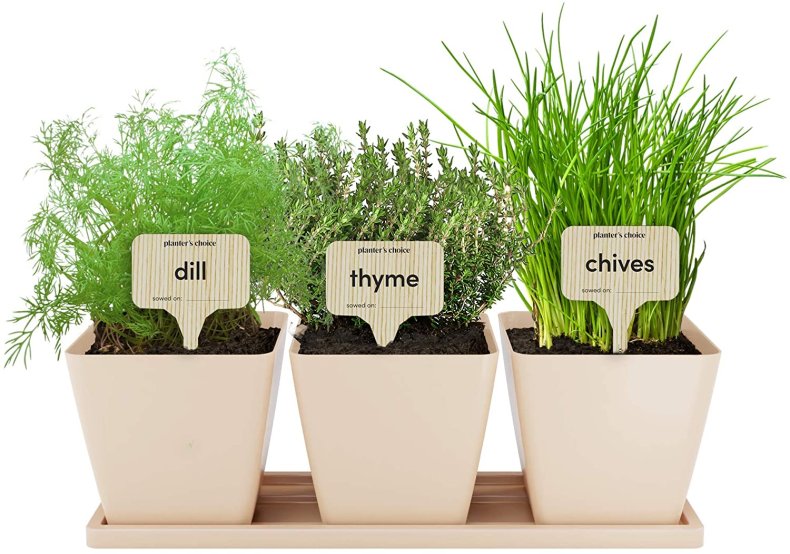 Best secret santa gifts herbs