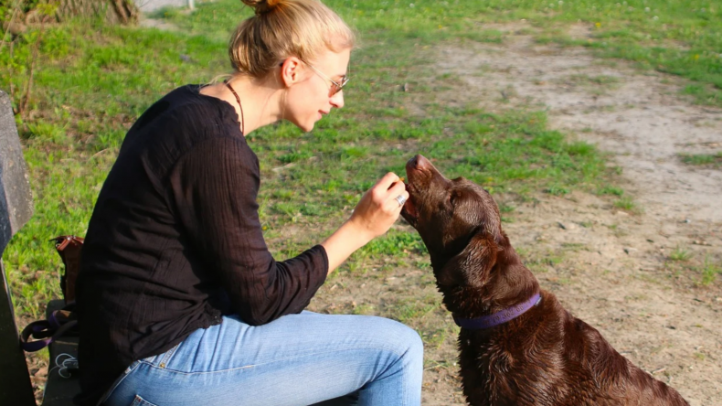 9 Signs Your Dog Has COVID-19 and What to Do About It (1) 9 Signs Your Dog Has COVID-19 and What to Do About It (1)