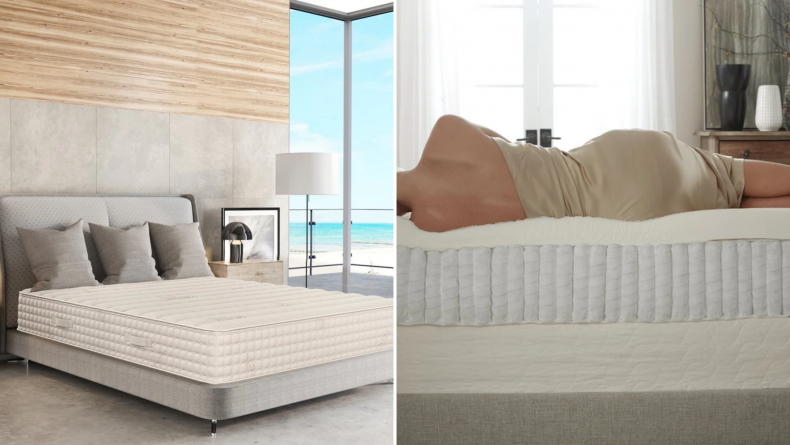 PlushBeds 1
