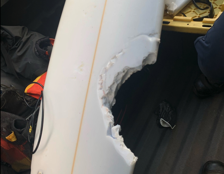 Hawaii shark attack victim, 56, dies in hospital
