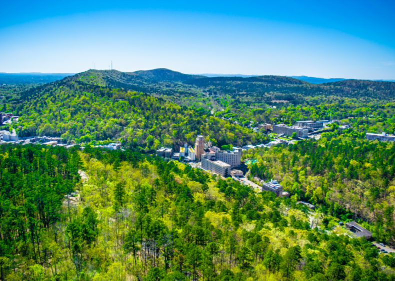 #25. Arkansas