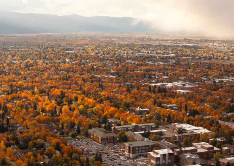 #11. Montana #11. Montana