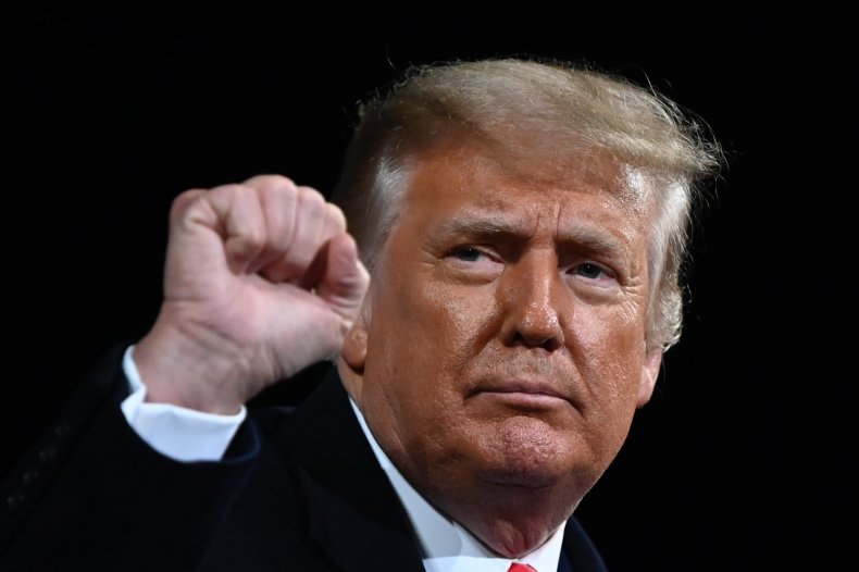 Trump Raises His Fist at a Rally