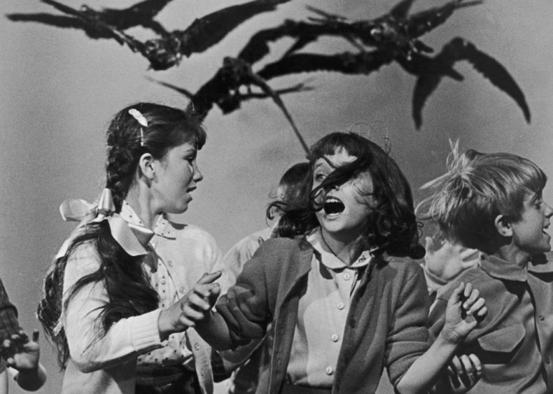 The Birds (1963)