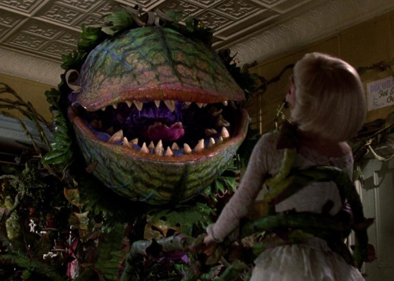 Little Shop of Horrors (1986)