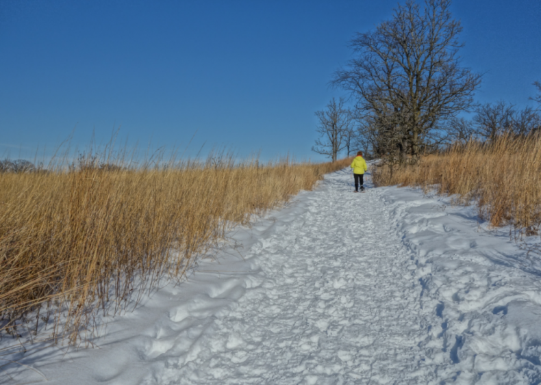 #20. Wisconsin